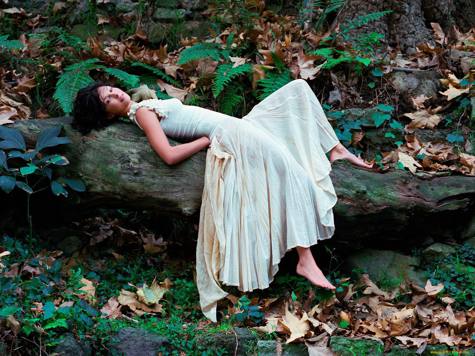 Ashley Judd, 